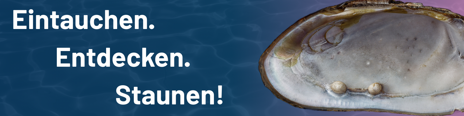 Das Freiberger Tor des Perlmutter- und Heimatmuseums Adorf (Foto: Lenk- Klingenthal) mit einem kleinen Einblick in die Austellung