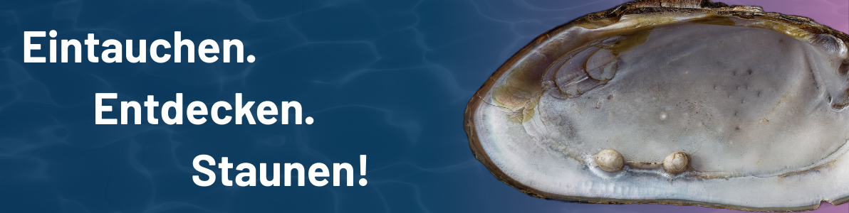 Das Freiberger Tor des Perlmutter- und Heimatmuseums Adorf