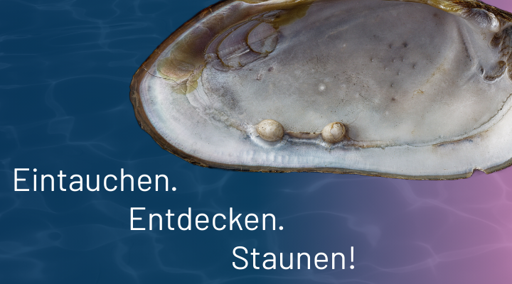 Das Freiberger Tor des Perlmutter- und Heimatmuseums Adorf (Foto: Lenk- Klingenthal)